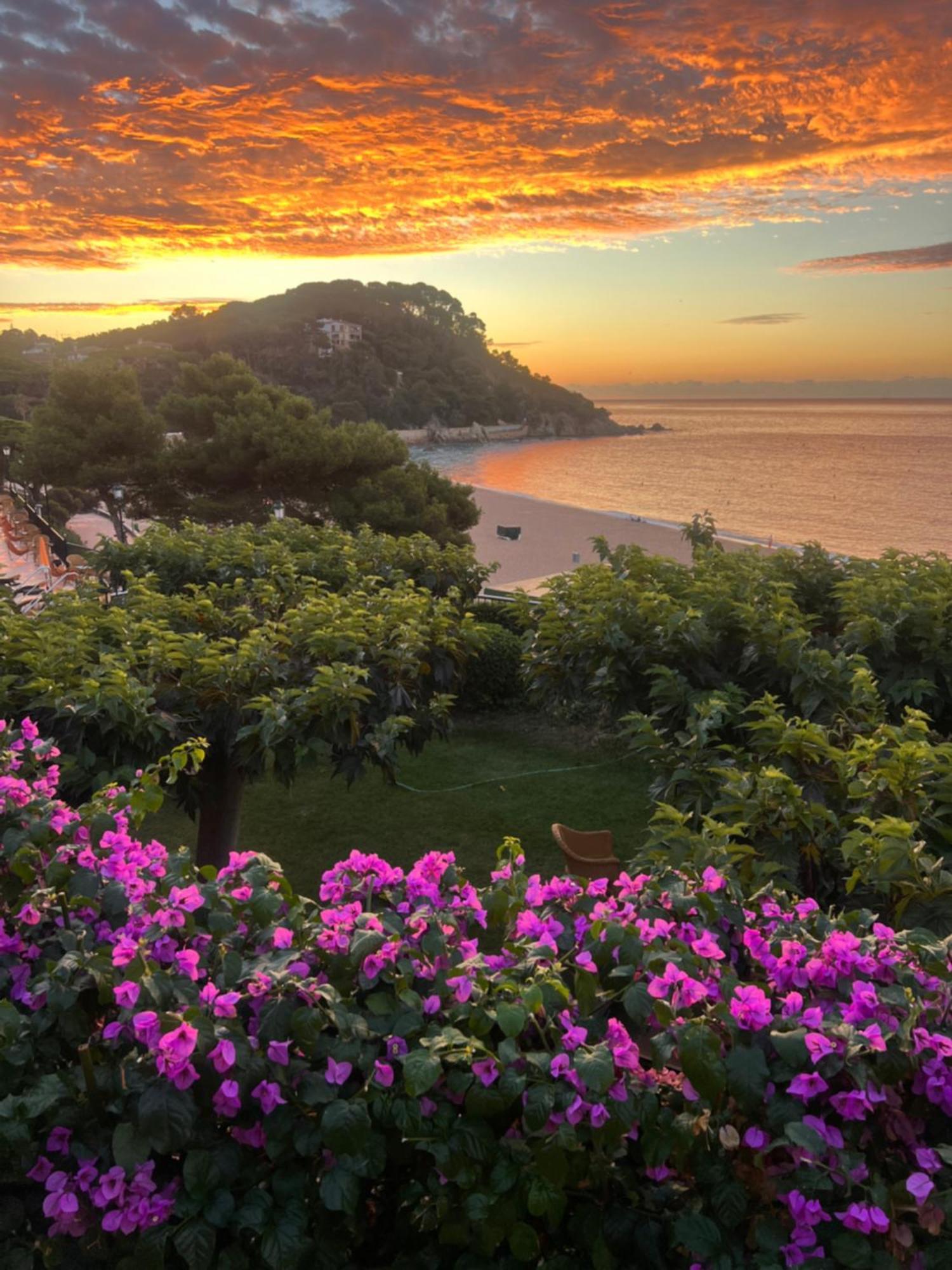 Rigat Park & Spa Hotel - Adults Recommended Lloret de Mar Exteriör bild